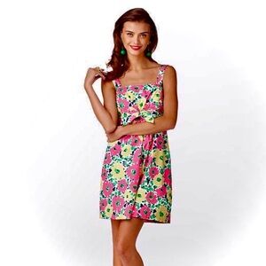 ❌SOLD❌ 🆕 NWT Lilly Pulitzer Avaline Dress